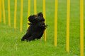 2013-05-19 um 09-49-36 (1)